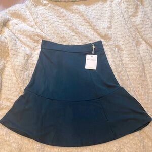 Teal tenley skirt from down east